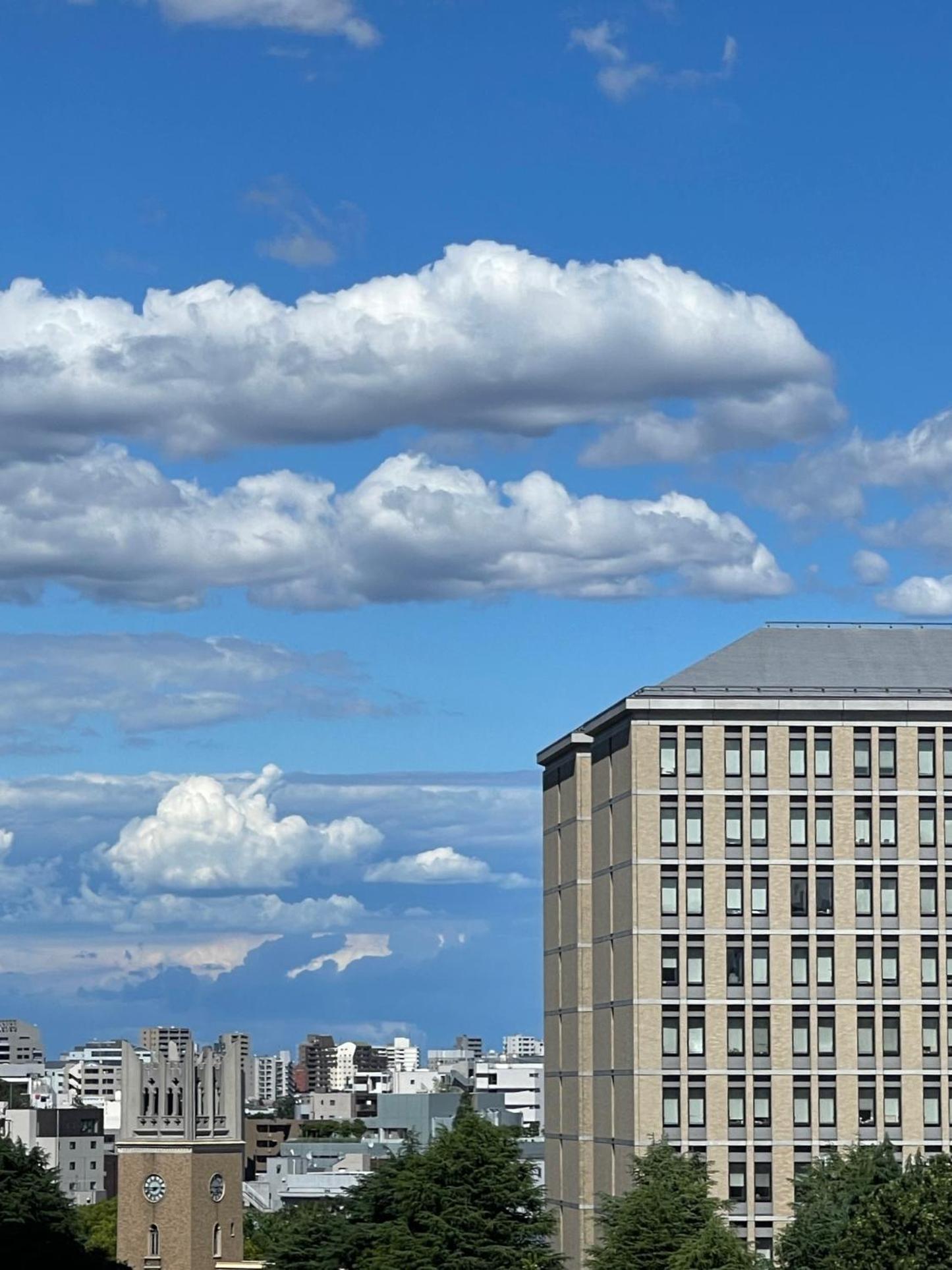 新宿区早稻田地铁6分钟两室景观公寓 Apartamento